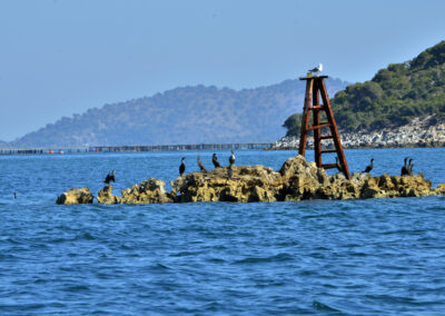 Ecological baseline studies for hydrocarbon extraction