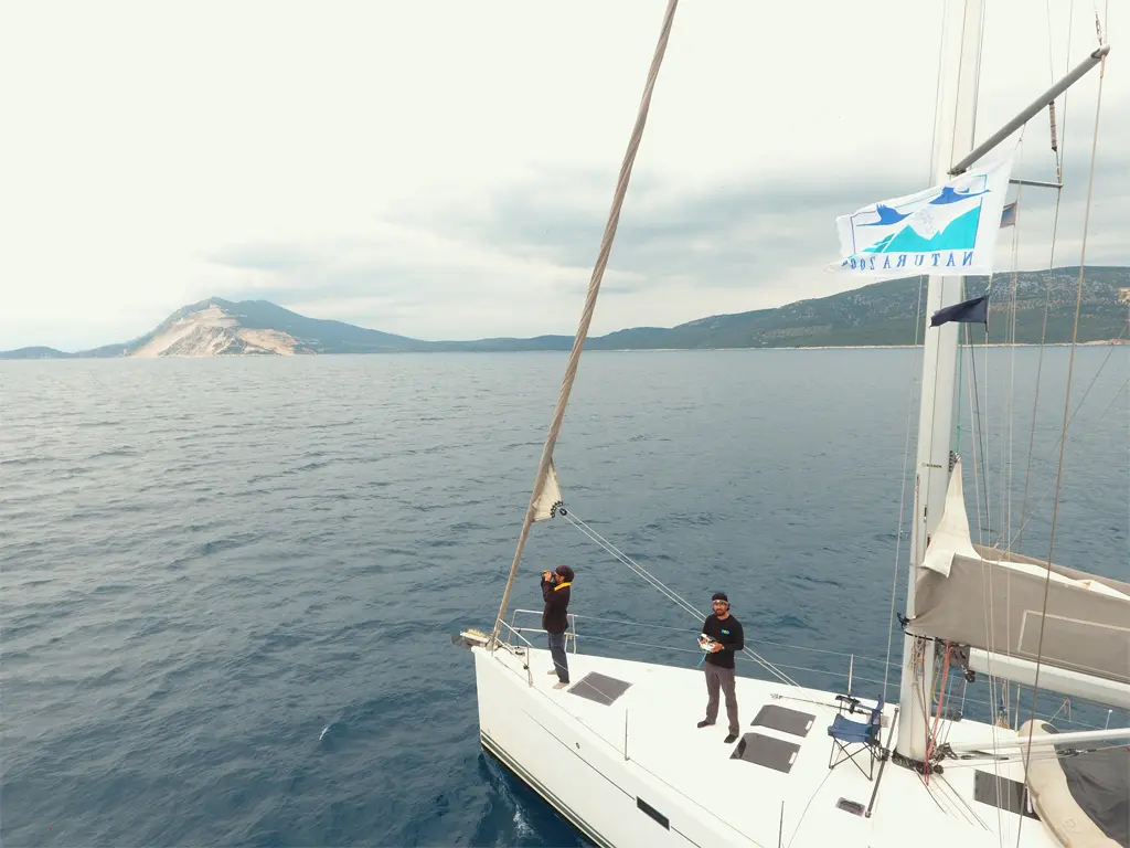 Pelagic records in Sporades and Halkidiki