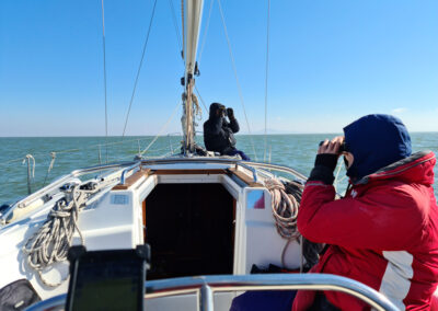 EM of the ASFA Pipeline Alexandroupolis