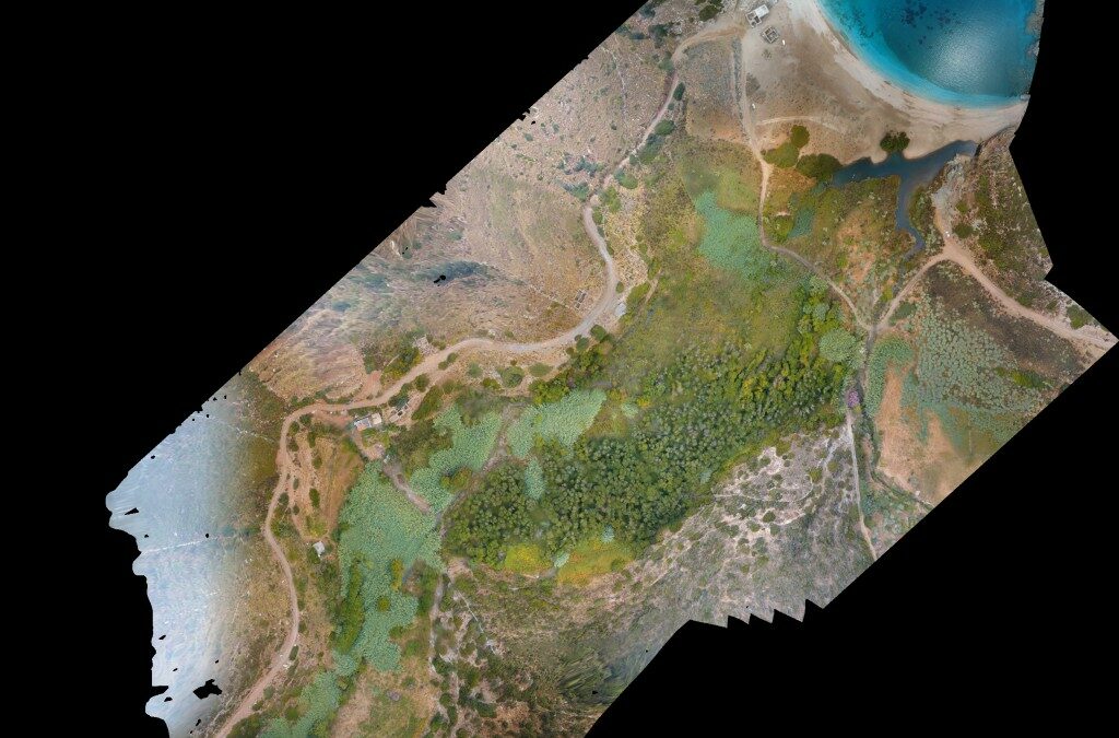 Διαχείριση υγροτοπικής βλάστησης