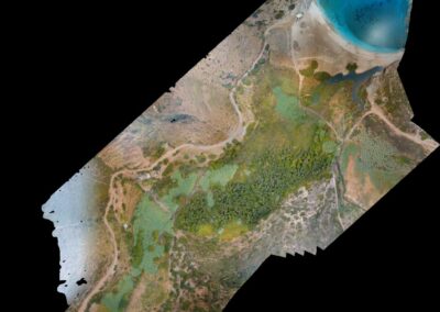 Wetland vegetation management