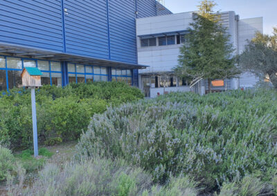 Expertise in corporate sustainable development certification