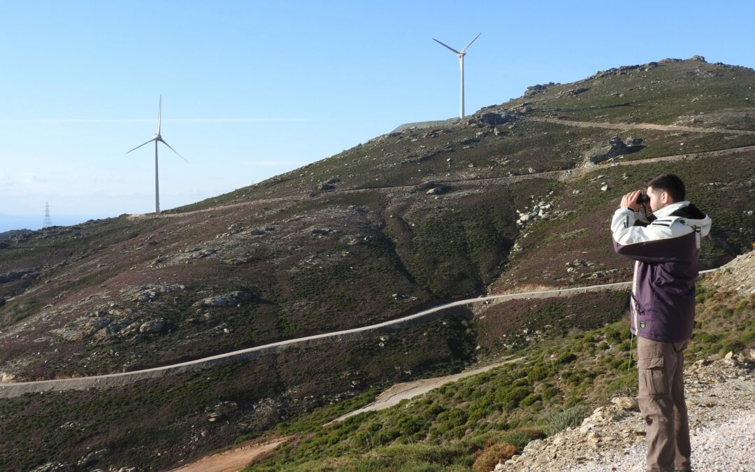 Περιβαλλοντική Παρακολούθηση κατά τη φάση λειτουργίας έργων