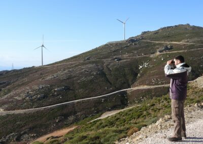 Environmental monitoring during the operational phase of projects