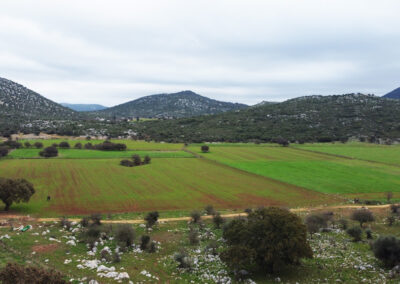 Expertise in Environmental Assessments for EBRD project financing