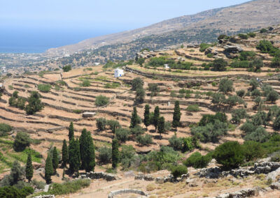 Coordination and Support of European Management Programs