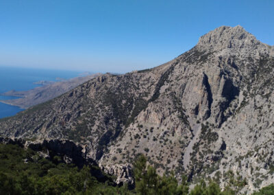 Preparation of application files for membership of MAB-UNESCO