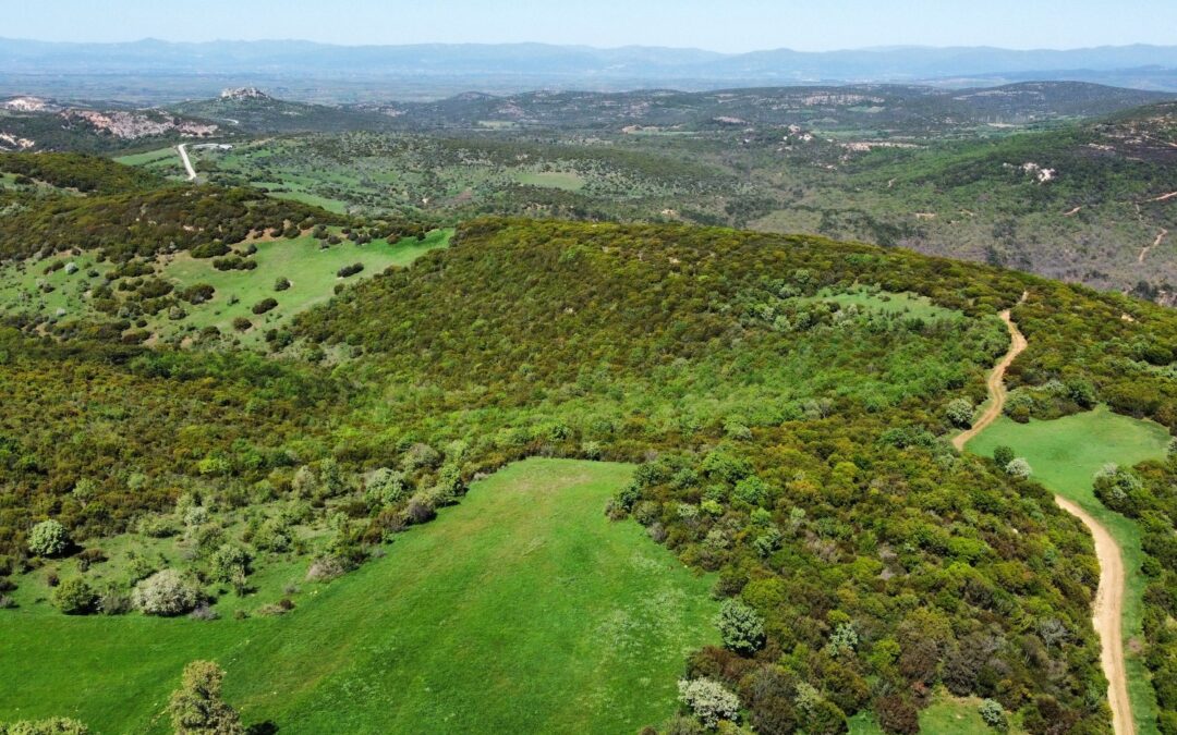 OMB για την Εξόρυξη Χρυσού στο Λόφο Πέραμα