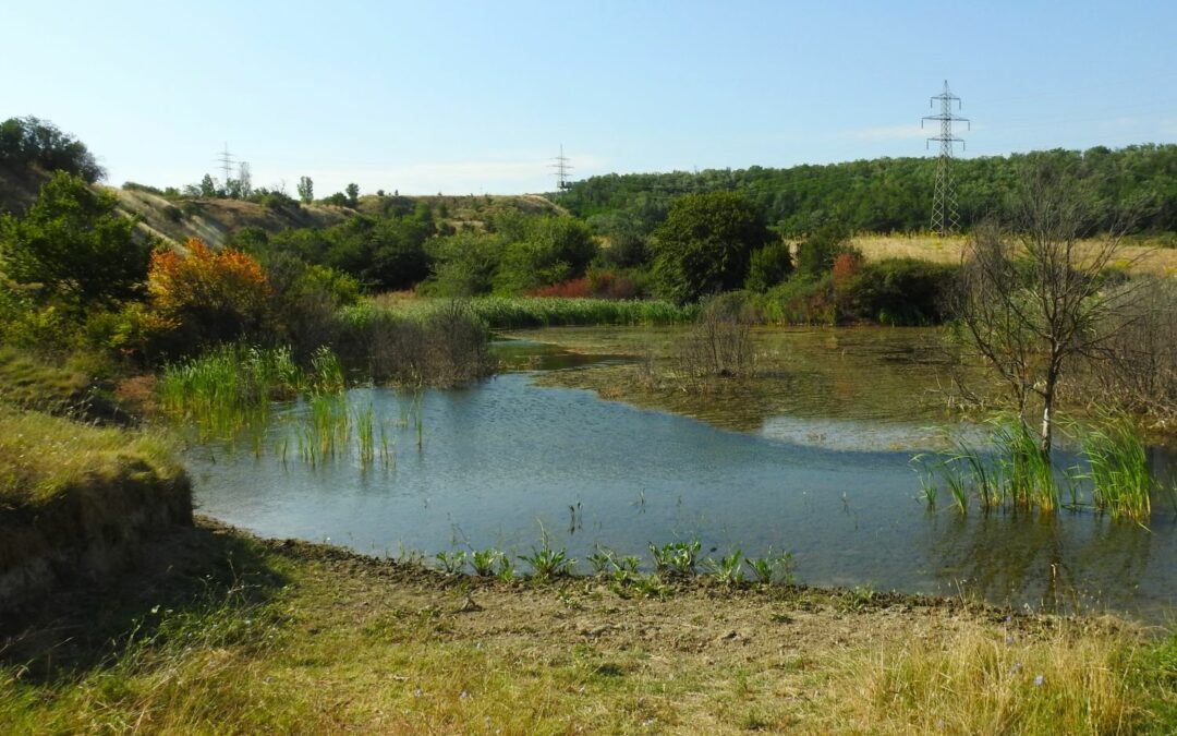 OMB για τα Ορυχεία Αμυνταίου