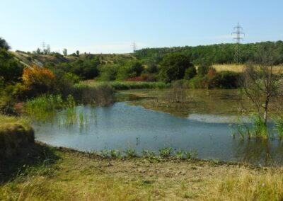 EBS for Amyntaiou mines