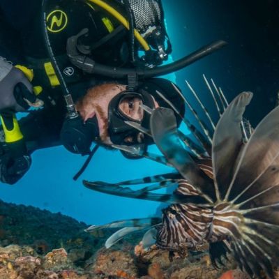 Μιχαήλ Ραγκούσης