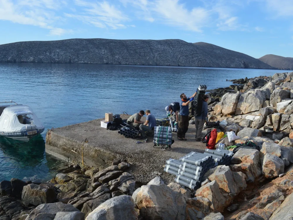 Η καταπολέμηση των αρουραίων είναι από τις σημαντικότερες προστατευτικές παρεμβάσεις σε βραχονησίδες.