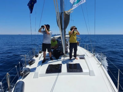 monitoring marine animals from NCC's sailing boat