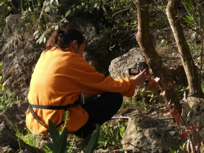 Η κάμερα έχει αισθητήρα κίνησης, δηλαδή παίρνει αυτόματα φωτογραφίες όταν κάποιο ζώο περνάει.