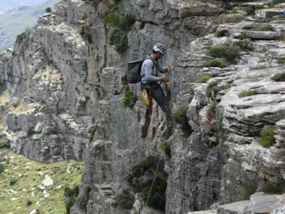 Για να φτάσουν στην φωλιά οι ερευνητές χρειάζονται αναρριχητικό εξοπλισμό.