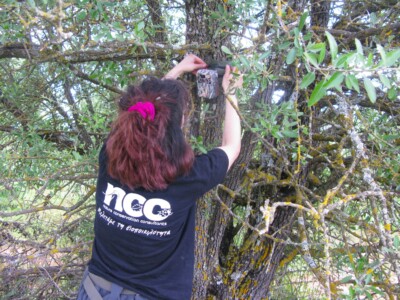 Trail cameras χρησιμοποιούνται για την καταγραφή ζώων που ενοχλούνται από την παρουσία ανθρώπων ή που είναι νυκτόβια.