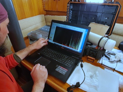 Από τα σονογράμματα οι ειδικοί επιστήμονες μπορούν να αναγνωρίσουν το είδος.