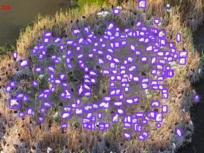 εικόνα επεξεργαμένη με τεχνητή νοημοσύνη για την αποτελεσματική μέτρηση των πουλιών σε μια αποικία