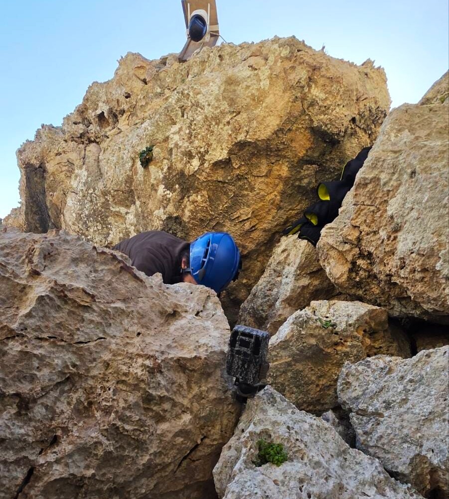 Εδώ τοποθετείται και κάμερα και μικρόφωνο στην είσοδο φωλιάς μήχων.